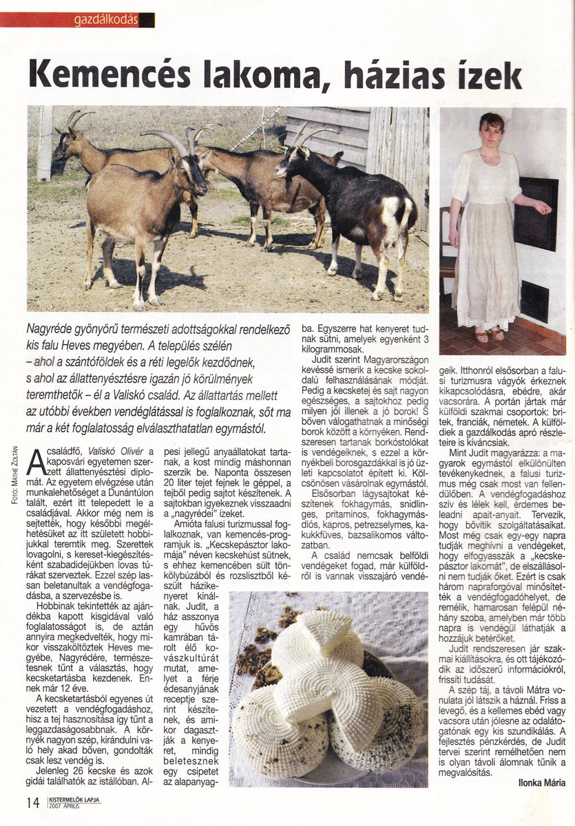 Média, Kecskesajt, Nagyrédei Kecskefarm