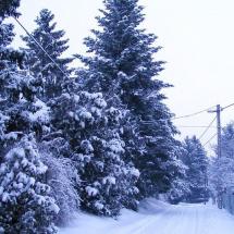 Nagyréde télen, Kecskesajt, Nagyrédei Kecskefarm
